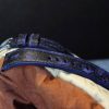 blue blackbay 02 - Gunny Straps Official